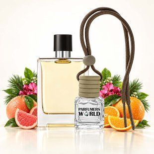 Автопарфум №11 Parfumers World Terra Homme для чоловіків 8 ml. Ароматизатор в авто. Пахучка в авто