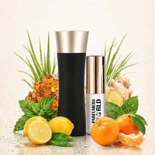 Пробник парфумів Parfumers World Code Sport Чоловічий 6ml