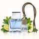 Автопарфум №20 Parfumers World Blue Seduction для чоловіків 8 ml. Ароматизатор в авто. Пахучка в авто