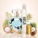 Масляные духи Parfumers World Oil TEASE DREAMER Женские 10 ml