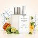 Парфуми Parfumers World Acqua Di Gio Чоловічі 110 ml
