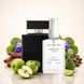 Парфуми Parfumers World Essential for Man Чоловічі 110 ml