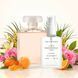 Парфуми Parfumers World Coco Mademoiselle Жіночі 60 ml