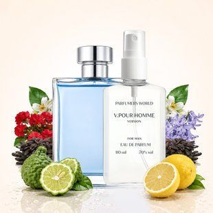 Парфуми Parfumers World V.Pour Homme Чоловічі 110 ml