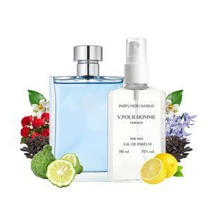 Духи Parfumers World V.Pour Homme Мужские 110 ml