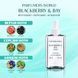 Пробник духов Духи Parfumers World Blackberry & Bay Женские 6 ml