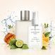 Духи Parfumers World Acqua Di Gio Мужские 60 ml
