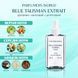 Парфуми Parfumers World BLUE TALISMAN EXTRAIT Унісекс 60 ml