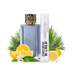 Пробник духов Parfumers World №135 (аромат похож на Dolce&Gabbana K) Мужской 3 ml