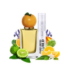 Пробник духов Parfumers World №143 (аромат похож на Dolce&Gabbana Orange) Унисекс 3 ml