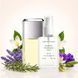 Духи Parfumers World Egoiste Platinum Мужские 60 ml