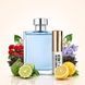 Пробник духов Parfumers World V.Pour Homme Мужской 6ml