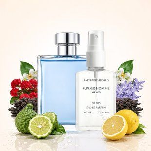 Духи Parfumers World V.Pour Homme Мужские 60 ml