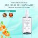Парфуми Parfumers World Molecule 01 + Mandarin Унісекс 110 ml