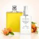 Парфуми Parfumers World Molecule 01 + Mandarin Унісекс 110 ml