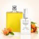 Парфуми Parfumers World Molecule 01 + Mandarin Унісекс 60 ml