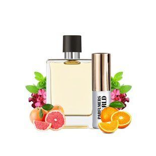 Пробник духов Parfumers World Terre Мужской 6ml