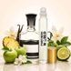 Масляные духи Parfumers World Oil AVENTUS Мужские 10 ml