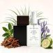 Духи Parfumers World Encre Noire Мужские 60 ml