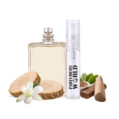 Пробник духов Parfumers World №161 (аромат похож на Escentric Molecules Escentric 04) Унисекс 3 ml
