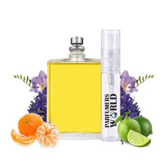 Пробник духов Parfumers World №162 (аромат похож на Escentric Molecules Molecule 01 + Mandarin) Унисекс 3 ml
