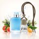 Автопарфум №4 Parfumers World Light Blue для чоловіків 8 ml. Ароматизатор в авто. Пахучка в авто