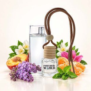 Автопарфюм №27 Parfumers World "K.Femme&raquo; для женщин 8 ml. Ароматизатор в машину. Пахучка в авто