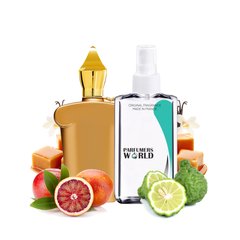 Духи Parfumers World №433 (аромат похож на Xerjoff Lira) Унисекс 110 ml