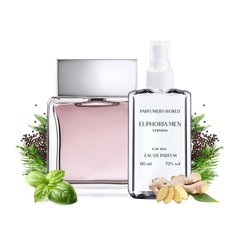 Парфуми Parfumers World Euphoria Men Чоловічі 110 ml