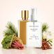 Духи Parfumers World ENCELADE Унисекс 110 ml
