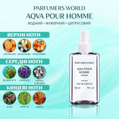 Духи Parfumers World Aqva Pour Homme Мужские 110 ml