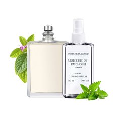 Парфуми Parfumers World Molecule 01 + Patchouli Унісекс 110 ml